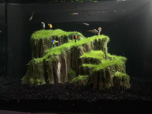 Lunar Sanctum — Stillness, Cast in Stone