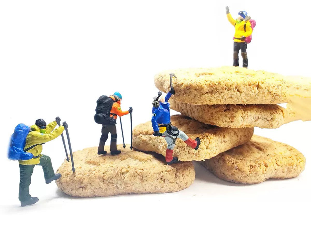 Summit Squad — Miniature Climber Set (Accessory Only)